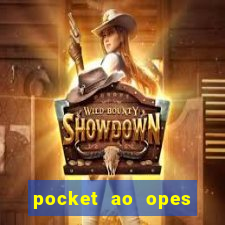 pocket ao opes binrias para iniciantes ao opes binrias